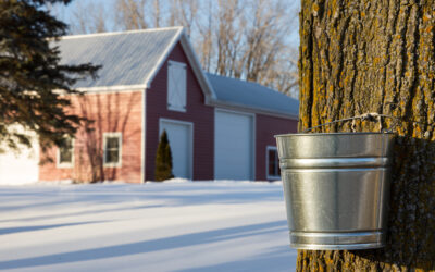 Maple Season & Spring Skiing in Manchester, VT