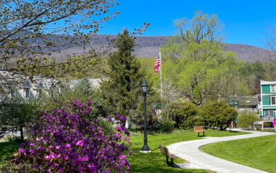 LIVE, WORK, & PLAY in Manchester, Vermont
