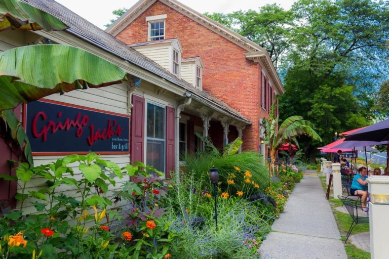 gringo jacks 1 768x512