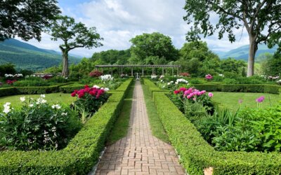 Experience Summer Adventure, Arts, and Festivals