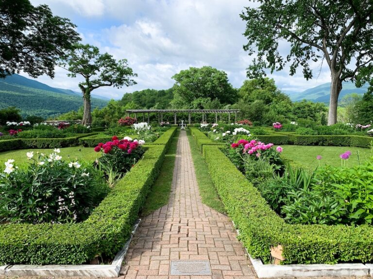 Hildene The Lincoln Family Home peonyseason 7 2048x1536 1 768x576
