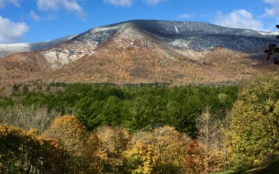 As Autumn Fades, Winter Awaits in Manchester, Vermont