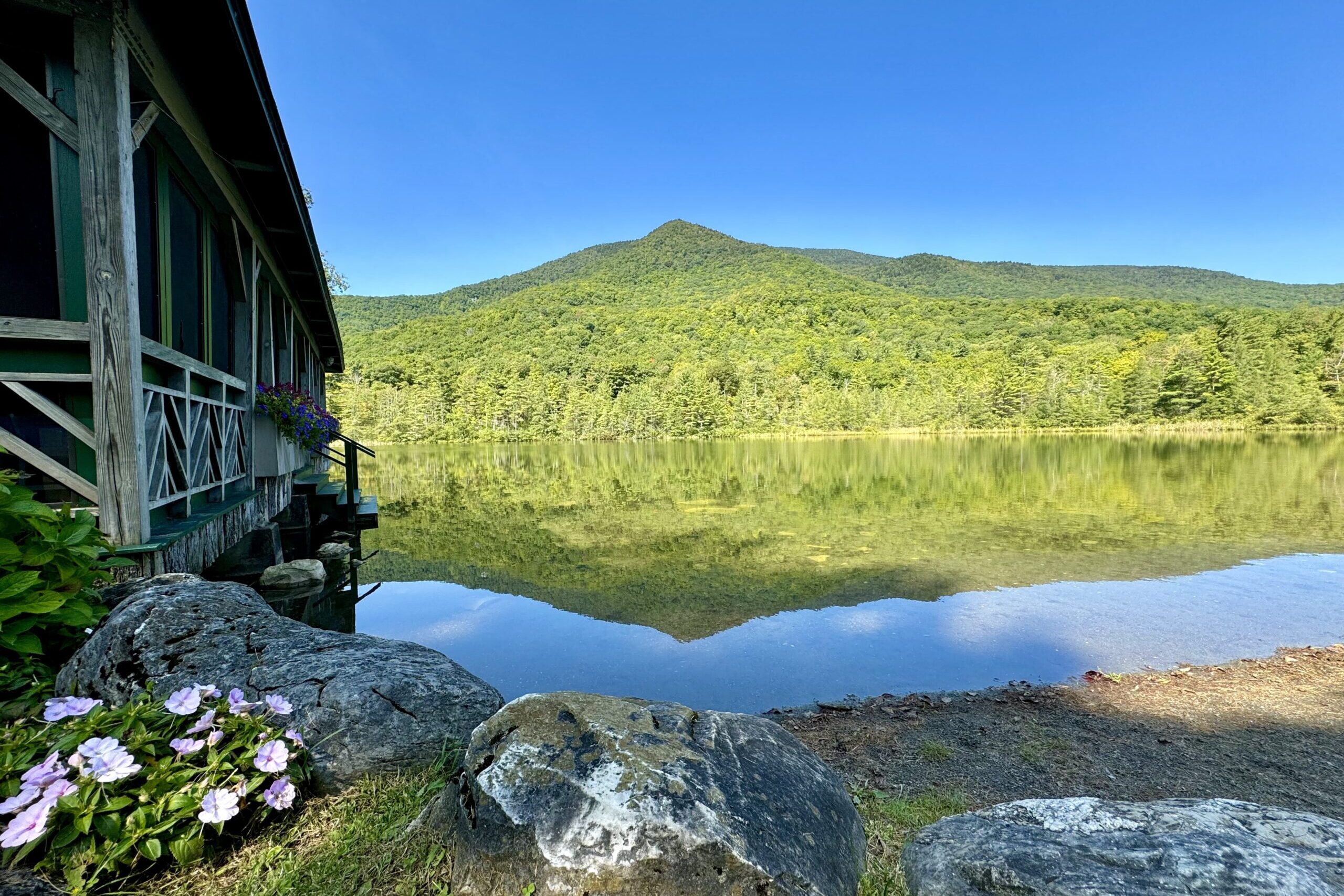 summer image