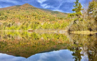 What To Do Before The Last Leaf Falls