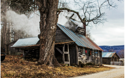 Mad for Maple Syrup