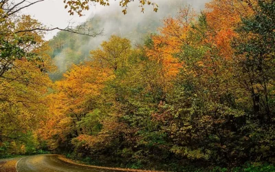 Fall into the Magic of Manchester, Vermont