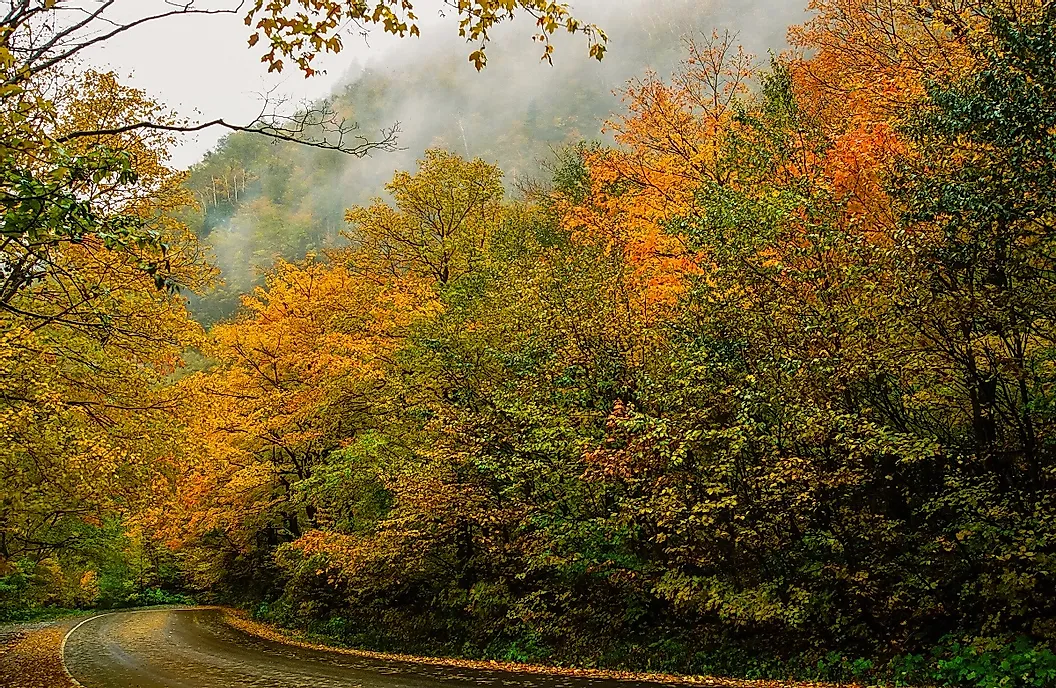 manchester-vermont In the News Fall